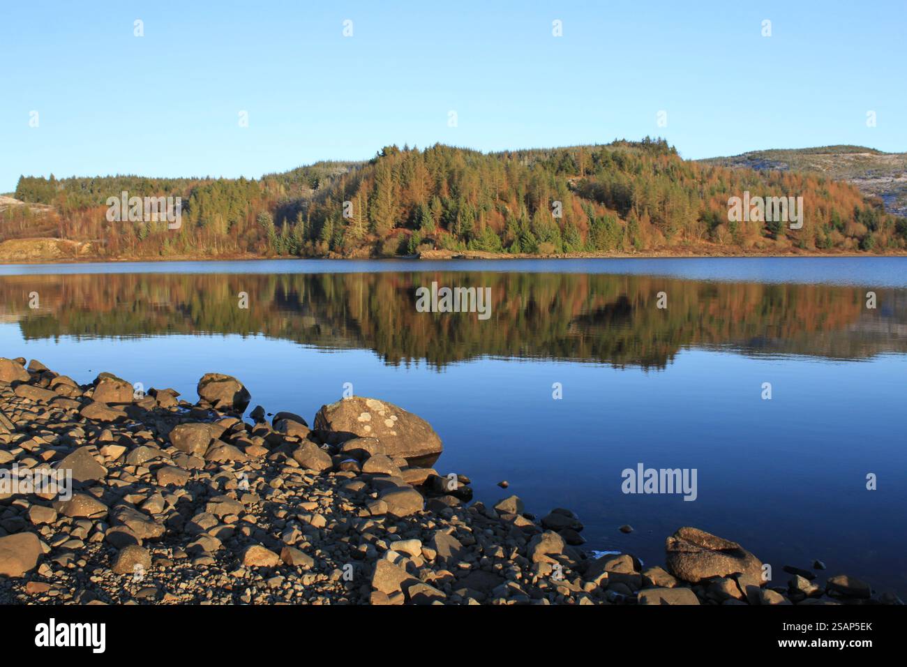 Galloway Forest Park - Écosse Banque D'Images