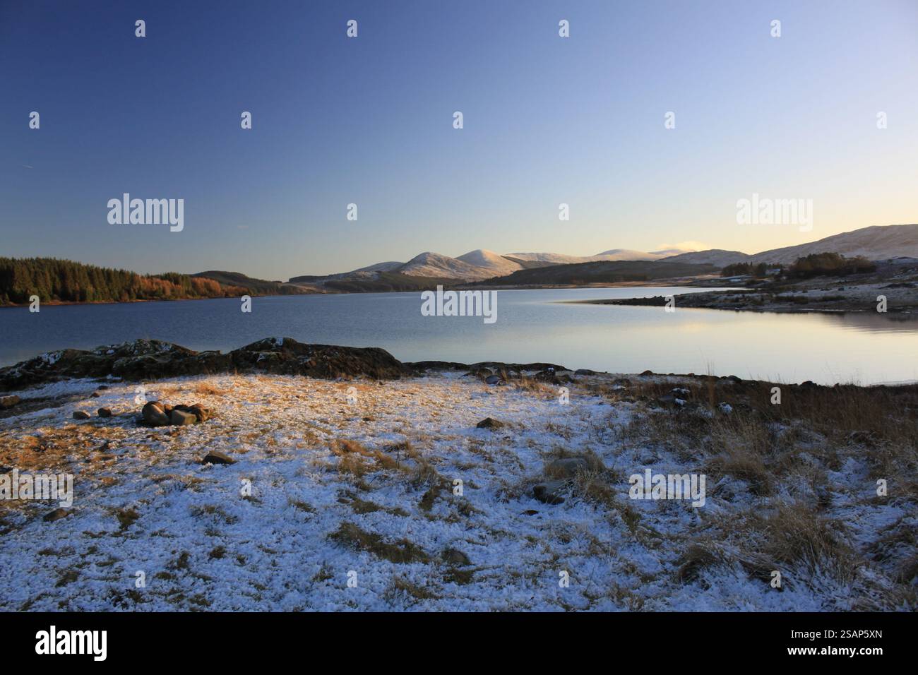 Galloway Forest Park - Écosse Banque D'Images