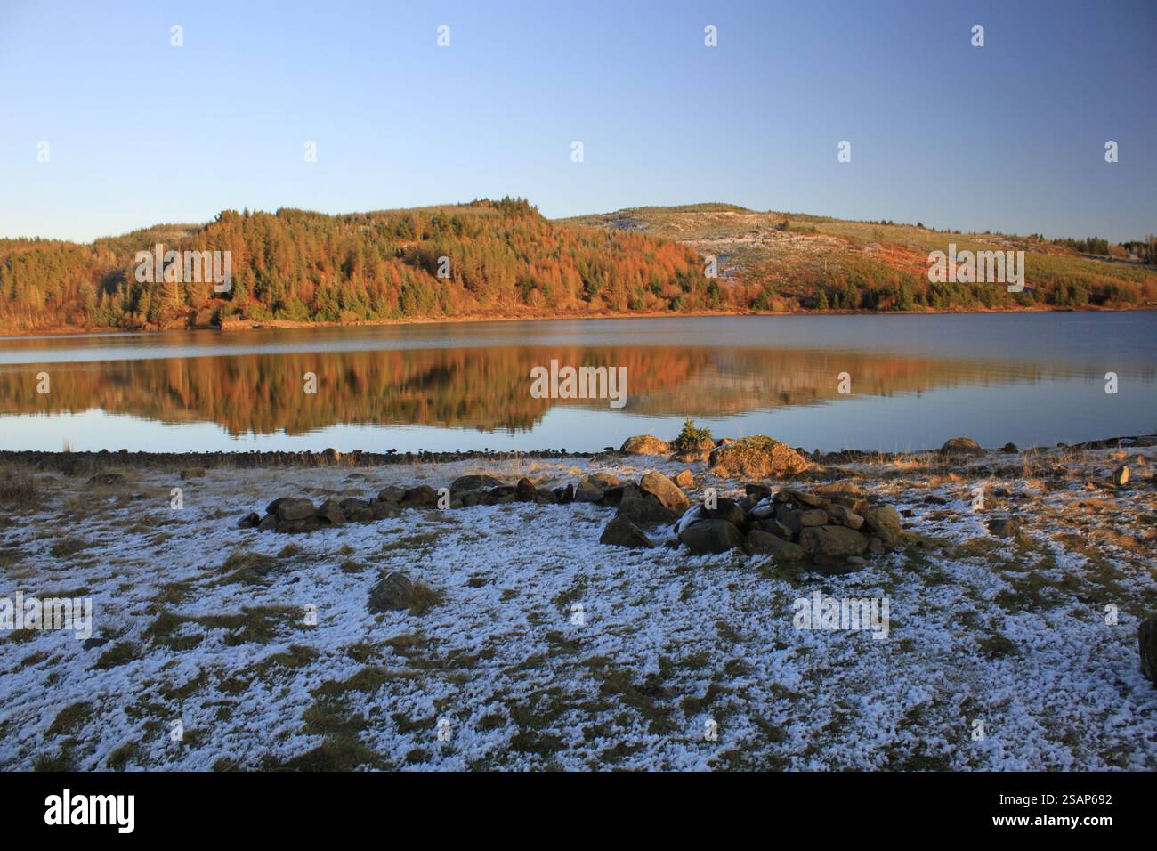 Galloway Forest Park - Écosse Banque D'Images