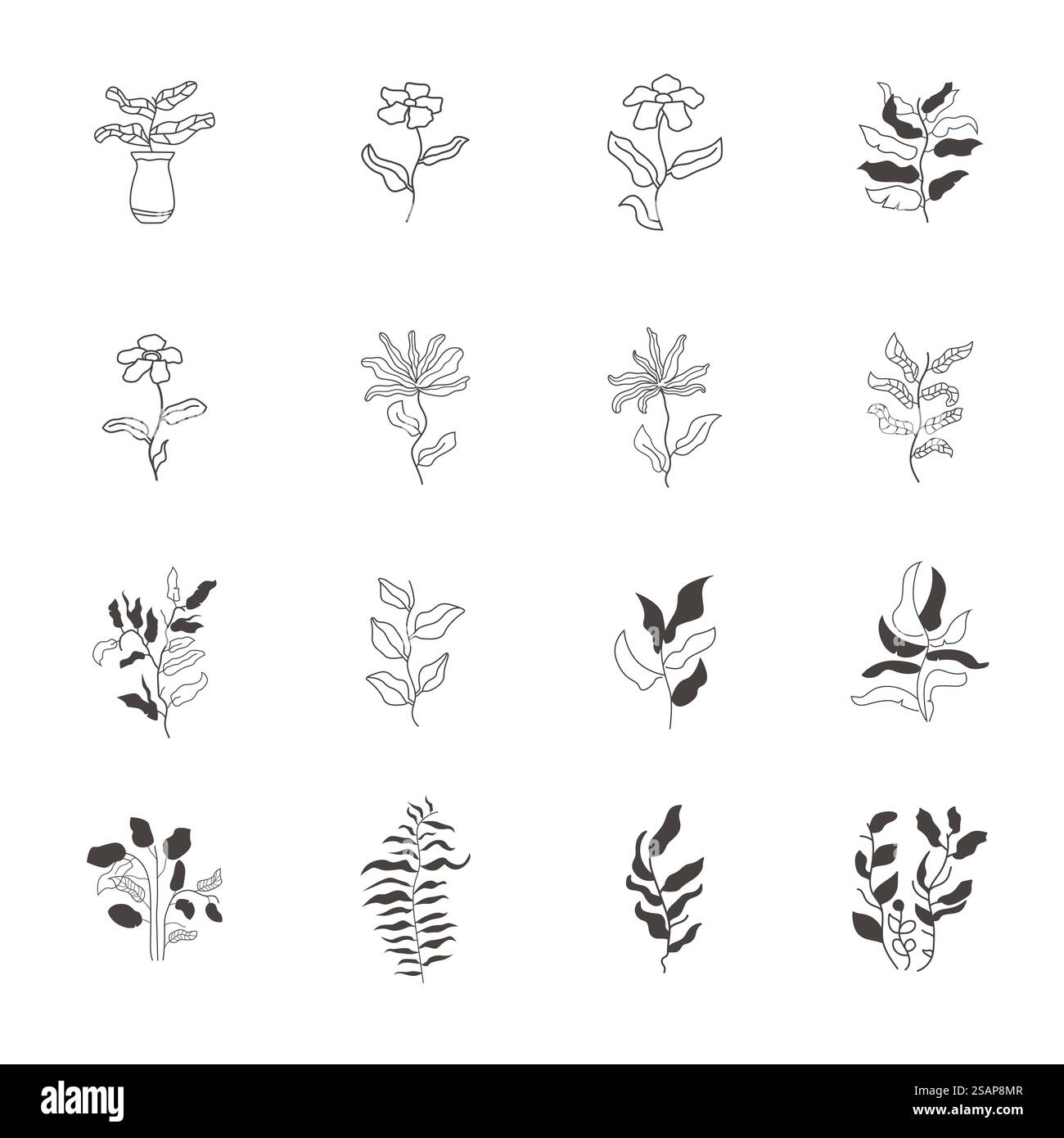 Modèle sans couture de vecteur botanique avec des feuilles tropicales dessinées à la main et fond géométrique. Illustration de Vecteur