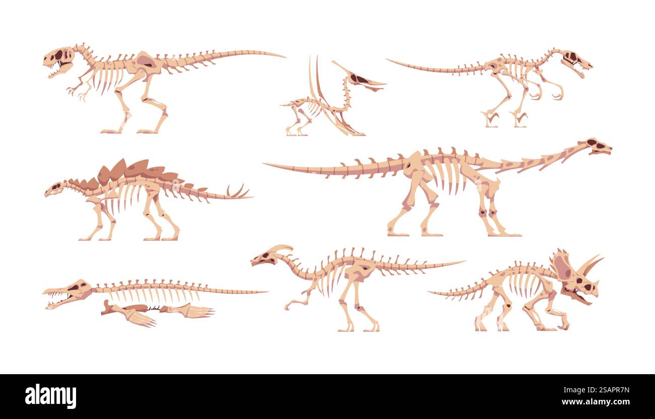 Squelette de dinosaure. Os de dinosaure avec crânes. Abstract tyrannosaurus ou triceratops dessin animé sur des parties du corps fossile. Animaux sauvages de lézard préhistoriques. Ensemble isolé de rapaces jurassiques. Reptiles anciens vecteurs. Squelette de dinosaure. Os de dinosaure avec crânes. Abstract tyrannosaurus ou triceratops dessin animé sur des parties du corps fossile. Animaux lézards préhistoriques. Ensemble de rapaces jurassiques. Reptiles anciens vecteurs Illustration de Vecteur