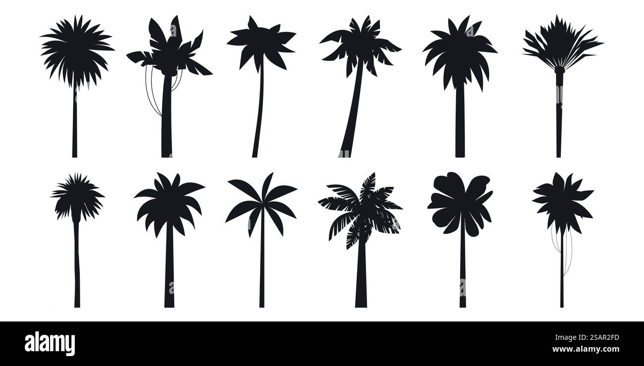 Palmiers noirs. Collection exotique d'icône noire de la côte de la mer, de noix de coco et de bananier. Éléments de vacances tropicales vectoriels de l'illustration de palmier de silhouette de plage. Palmiers noirs. Collection exotique d'icône noire de la côte de la mer, de noix de coco et de bananier. Éléments de vacances tropicales vectorielles Illustration de Vecteur Palmiers noirs. Collection exotique d'icône noire de la côte de la mer, de noix de coco et de bananier. Éléments de vacances tropicales vectoriels de l'illustration de palmier de silhouette de plage. Palmiers noirs. Collection exotique d'icône noire de la côte de la mer, de noix de coco et de bananier. Éléments de vacances tropicales vectorielles Illustration de Vecteur
