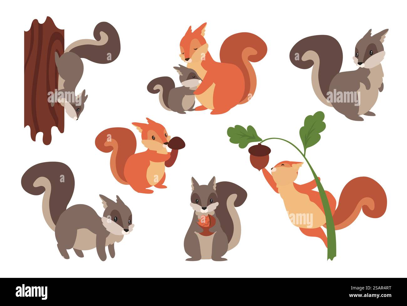 Écureuil. Animaux à fourrure sauvages de dessin animé drôles jouant avec des noix et des glands, grimpant sur un arbre ou tenant des champignons. Habitants de forêt gris et orange isolés. Vecteur adorable rongeurs ensemble avec des queues moelleuses. Écureuil. Animaux sauvages à fourrure de dessin animé jouant avec des noix et des glands, grimpant sur un arbre ou tenant des champignons. Habitants de forêt gris et orange. Vecteur adorable rongeurs ensemble avec des queues moelleuses Illustration de Vecteur
