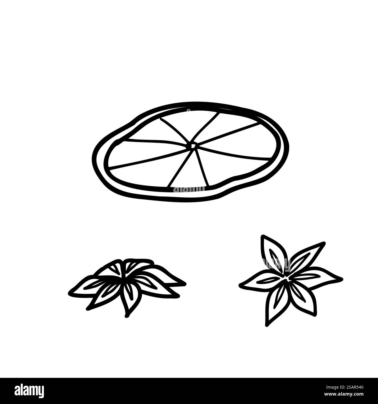 Ensemble d'étoiles à tranches d'orange séchées et d'anis. Illustration d'esquisse vectorielle dessinée à la main dans le style doodle. Pour les designs d'emballage, Noël, nouvel an et hiver. Illustration de Vecteur