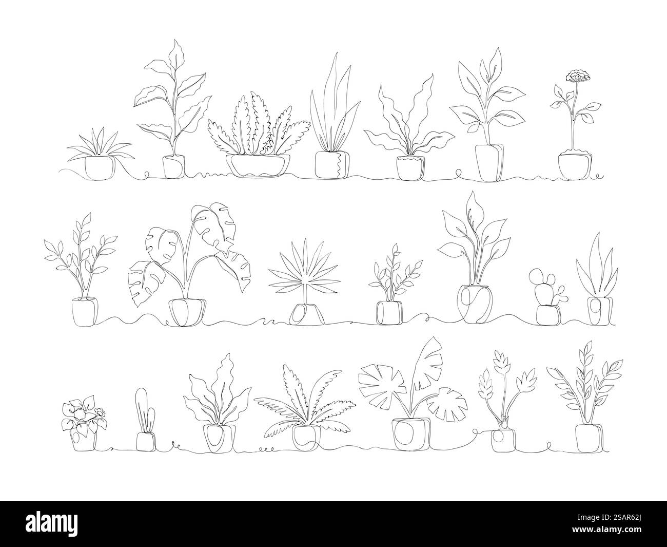 Une ligne. Plantes domestiques. Pots de maison monoline continus avec verdure tropicale et palmiers décoratifs exotiques. Ensemble de fleurs en pot noir et blanc. Eléments de décoration intérieure. Collection de plantes d'intérieur vectorielles. Une ligne. Plantes domestiques. Pots monoline continus avec verdure tropicale et palmiers décoratifs exotiques. Ensemble de fleurs en pot noir et blanc. Décoration intérieure. Collection de plantes d'intérieur vectorielles Illustration de Vecteur Une ligne. Plantes domestiques. Pots de maison monoline continus avec verdure tropicale et palmiers décoratifs exotiques. Ensemble de fleurs en pot noir et blanc. Eléments de décoration intérieure. Collection de plantes d'intérieur vectorielles. Une ligne. Plantes domestiques. Pots monoline continus avec verdure tropicale et palmiers décoratifs exotiques. Ensemble de fleurs en pot noir et blanc. Décoration intérieure. Collection de plantes d'intérieur vectorielles Illustration de Vecteur