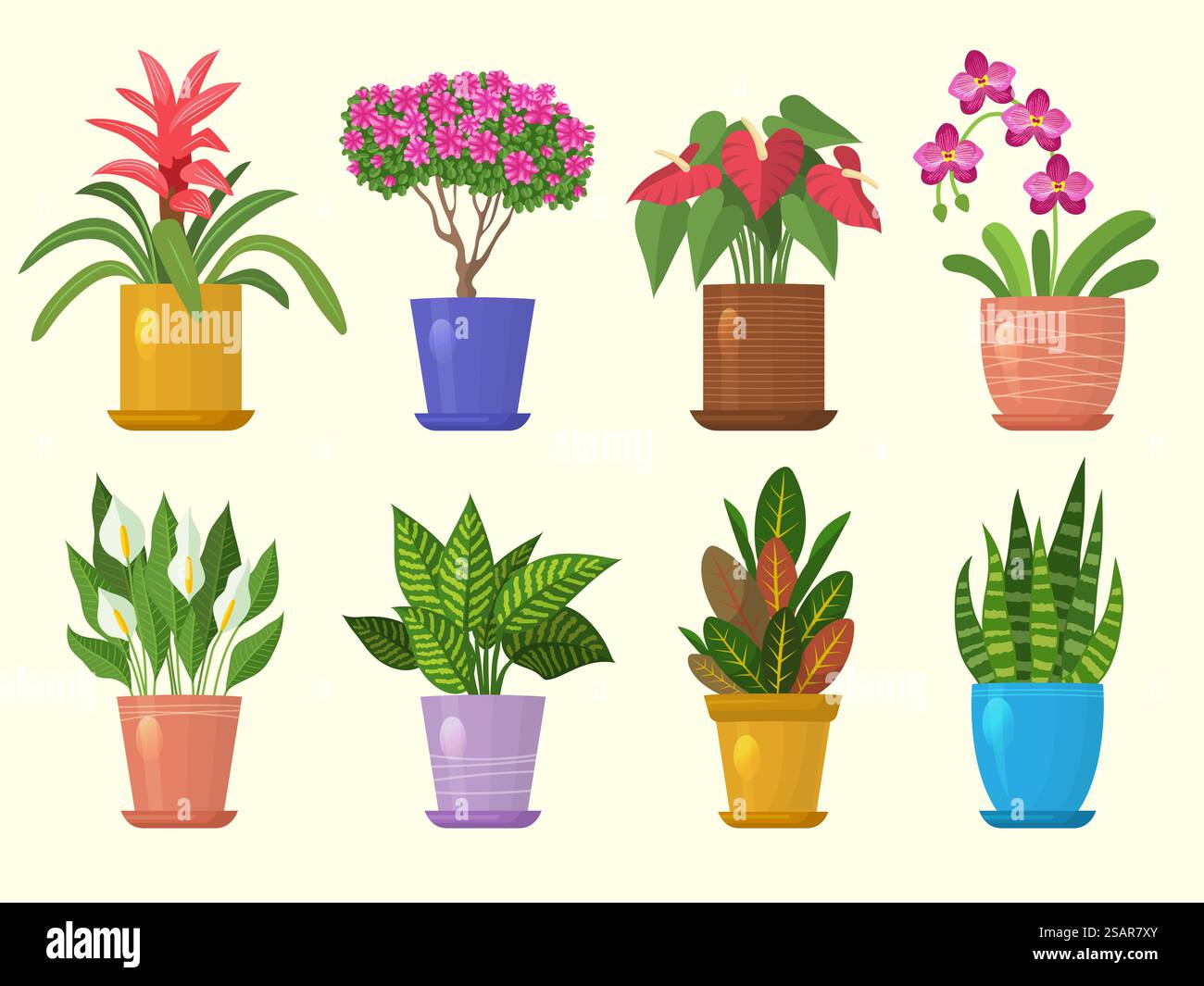 Fleurs en pot. Décoration botanique de la maison fleurs et feuilles illustrations vectorielles récentes de la nature. Fleur plante d'intérieur et jardinage. Fleurs en pot. Décoration botanique de la maison fleurs et feuilles illustrations vectorielles récentes de la nature Illustration de Vecteur