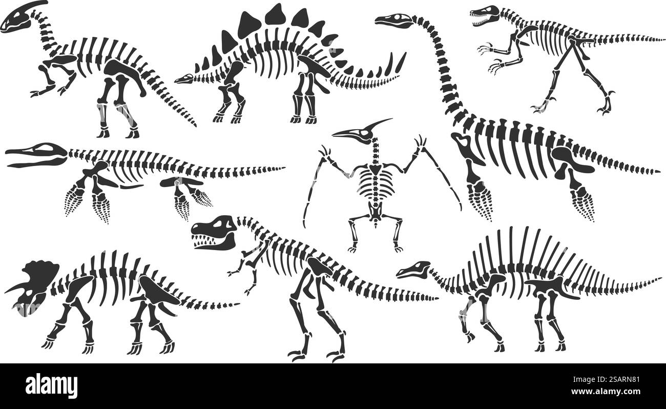 Squelettes de dinosaures. Os de Dino, fossile de stégosaure et squelette de tyrannosaurus. Restes d'animaux antiques illustration vectorielle ensemble de squelette Dino et dinosaure triceratops fossile. Squelettes de dinosaures. Os de Dino, fossile de stégosaure et squelette de tyrannosaurus. Restes d'anciens animaux ensemble d'illustration vectorielle Illustration de Vecteur
