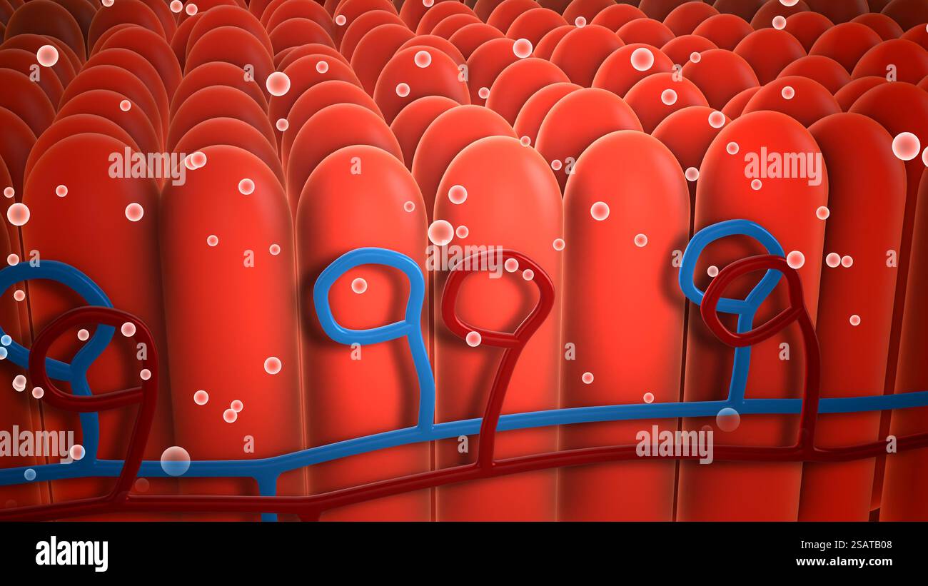 Microparticules flottant sur le récepteur de la langue Banque D'Images
