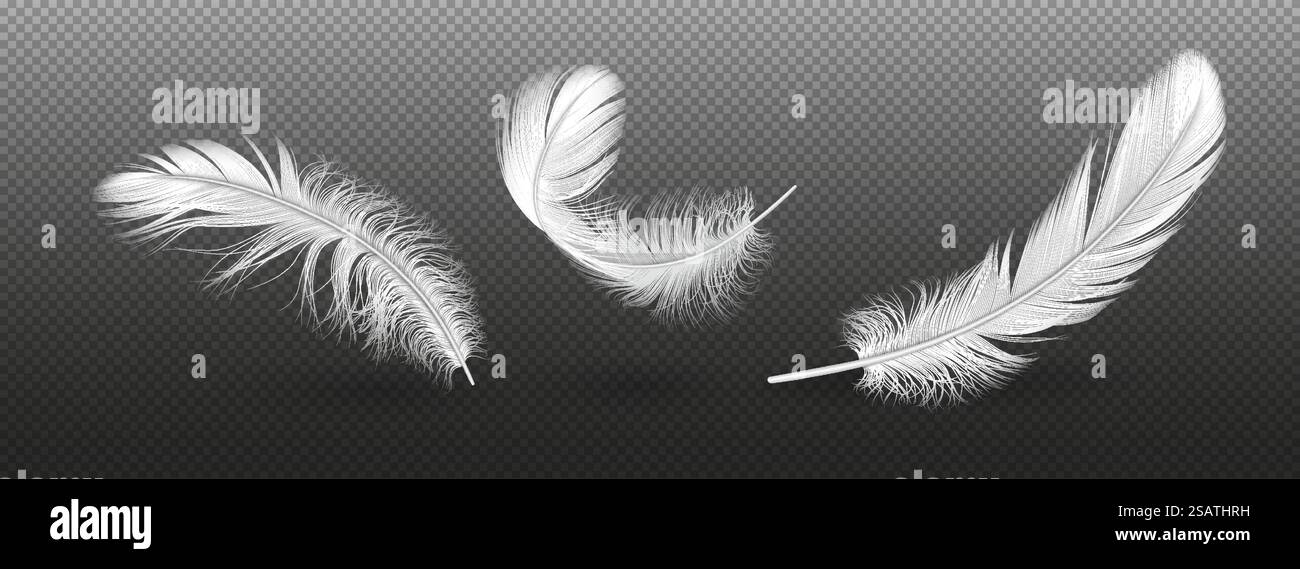 Ensemble d'illustration vectorielle réaliste de groupe de plumes d'oiseau léger. Détails du plumage des animaux volants. Fluffy Quills éléments 3D sur fond transparent Illustration de Vecteur