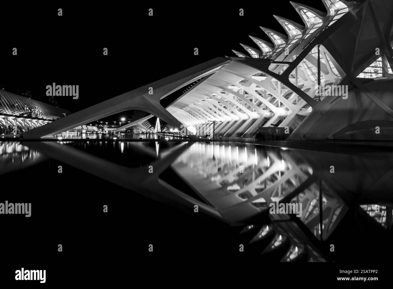 Bâtiment futuriste illuminé avec réflexion symétrique la nuit en monochrome, Cité des Arts et des Sciences, Valence, Espagne, Europe Banque D'Images