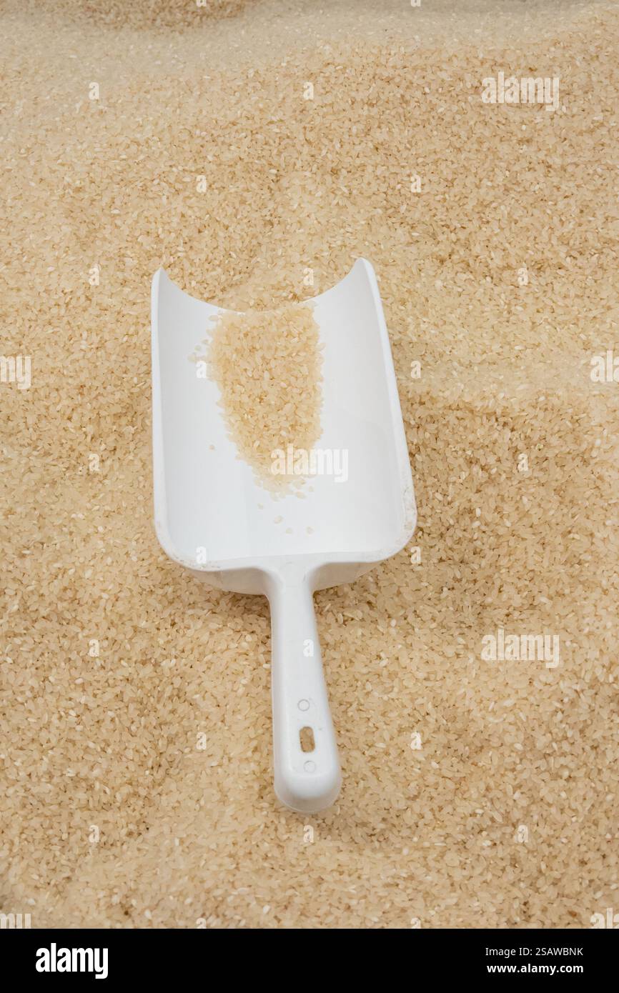 Cuillère blanche avec du riz cru sur un lit de grains de riz. Banque D'Images