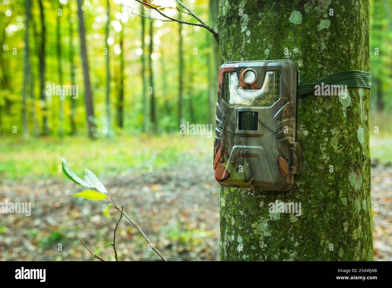 Gros plan d'un grand piège à caméra suspendu à un tronc d'arbre Banque D'Images