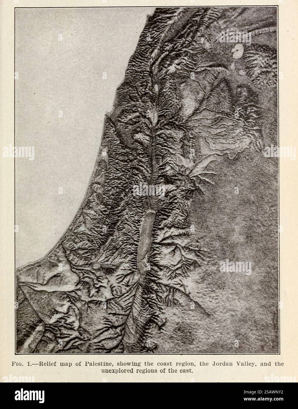 Carte en relief de la Palestine, montrant la région côtière, la vallée du Jourdain et les régions inexplorées de l'est. Agricultural and Botanical explorations in Palestine par Aaronsohn, Aaron, 1876-1919, publié par les États-Unis. Department of Agriculture ; États-Unis. Bureau of Plant Industry ; États-Unis. Bureau d'imprimerie du gouvernement en 1910 Banque D'Images