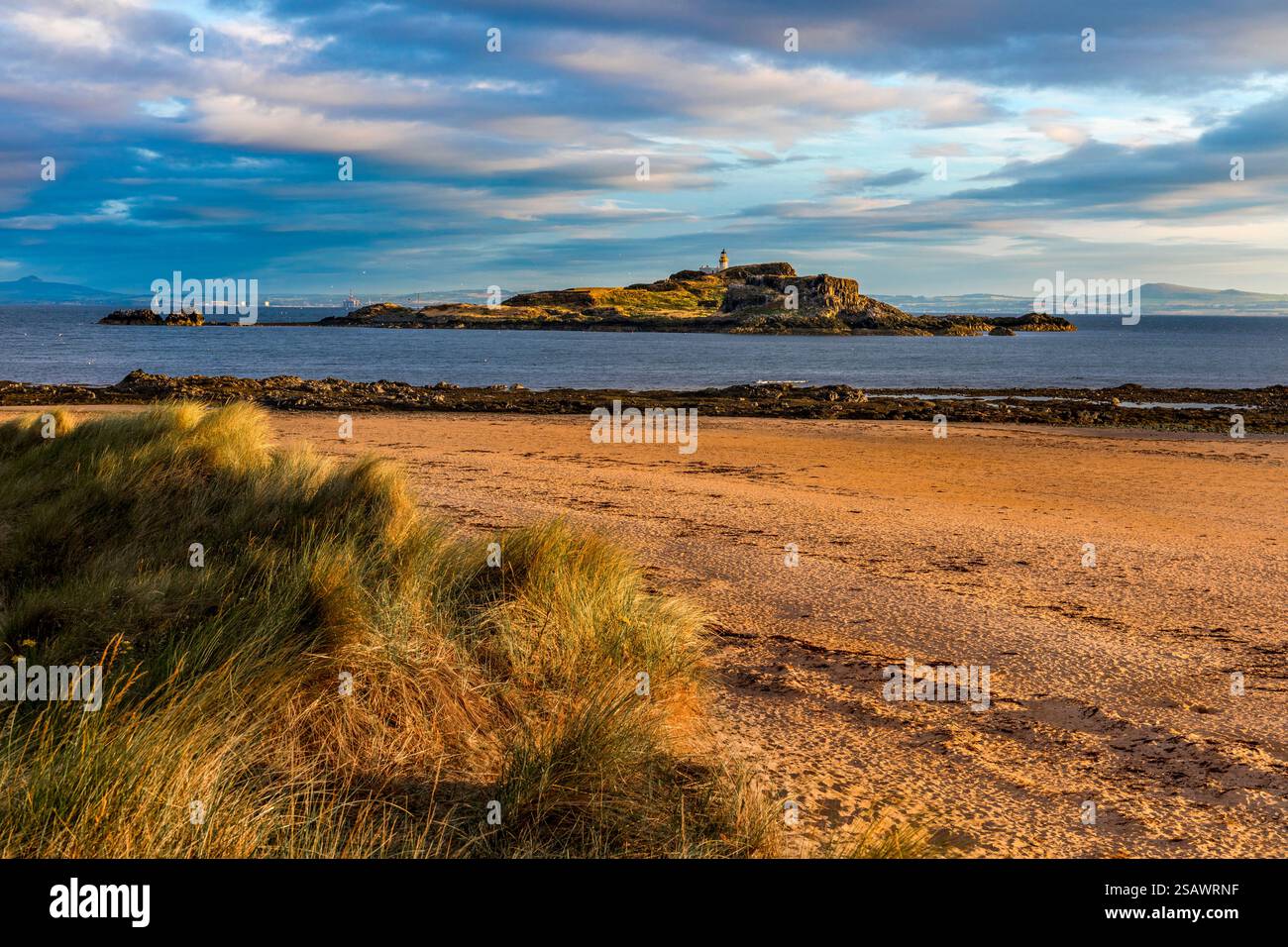 Yellowcraig ; Fidra Island ; East Lothian ; Écosse ; Royaume-Uni Banque D'Images