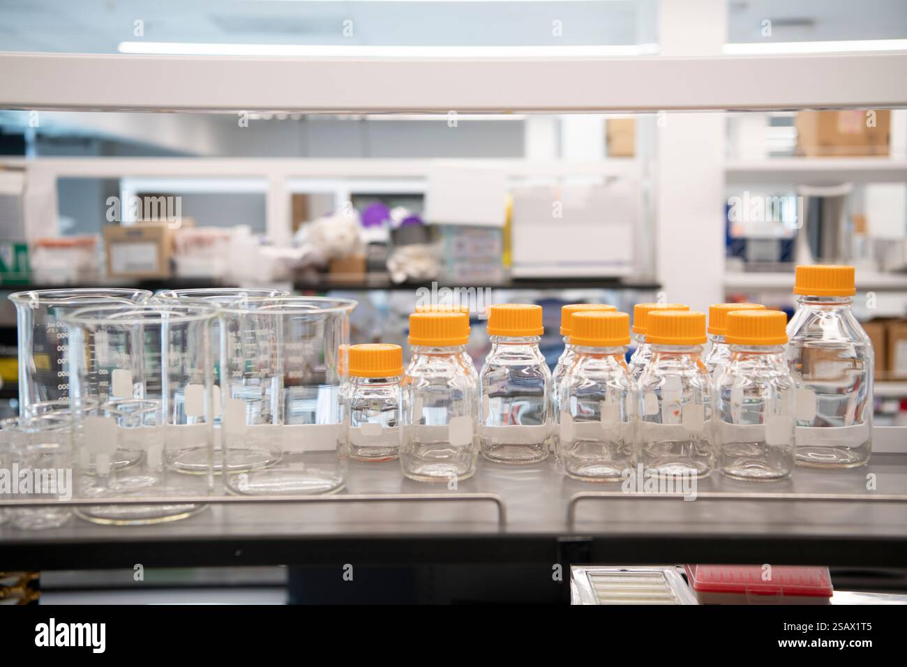 divers bocaux en verre transparent et béchers sur l'étagère du laboratoire scientifique Banque D'Images