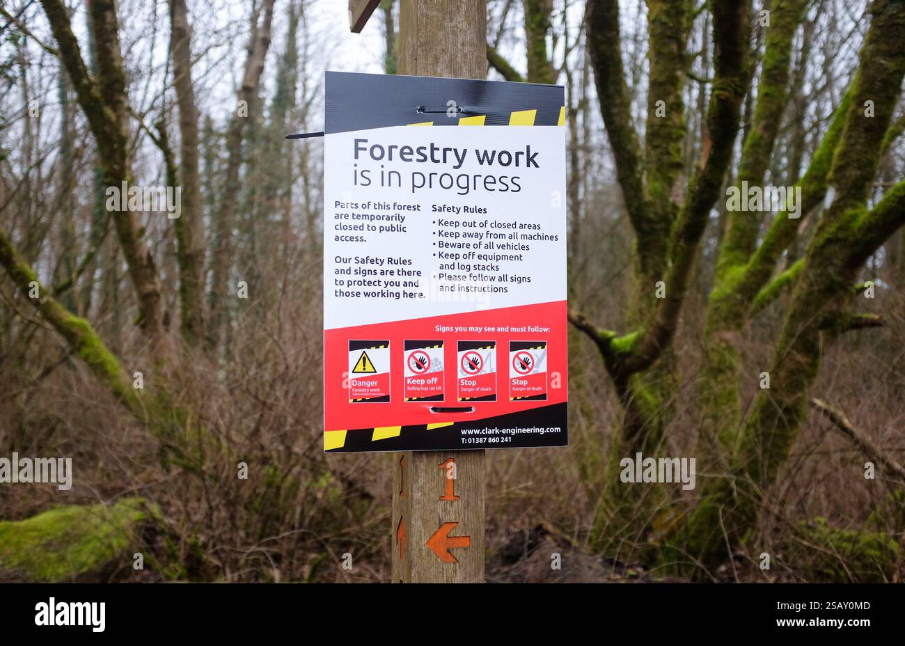 Panneau de travail forestier à Stanmer Park vues d'hiver en janvier 2025 Royaume-Uni : Banque D'Images