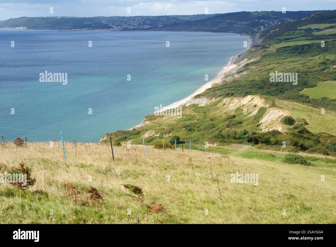 Vue depuis Golden Cap vers Charmouth & Lyme Regis, Jurassic Coast, Dorset, Angleterre, Royaume-Uni en septembre Banque D'Images