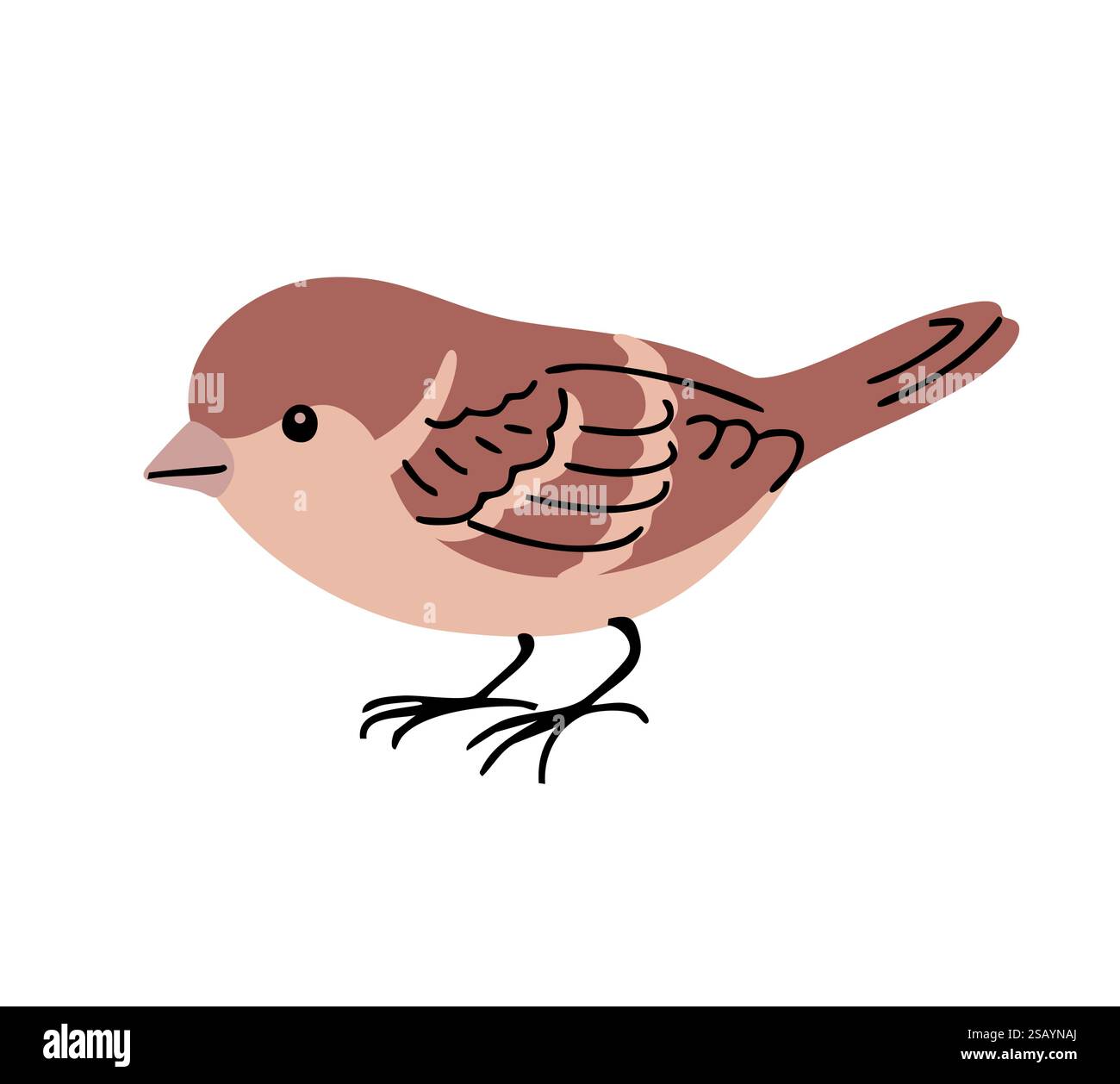 Petit oiseau moineau. Urbain à plumes. Animaux, nature et ornithologie. Illustration vectorielle de dessin animé isolée sur fond blanc Illustration de Vecteur
