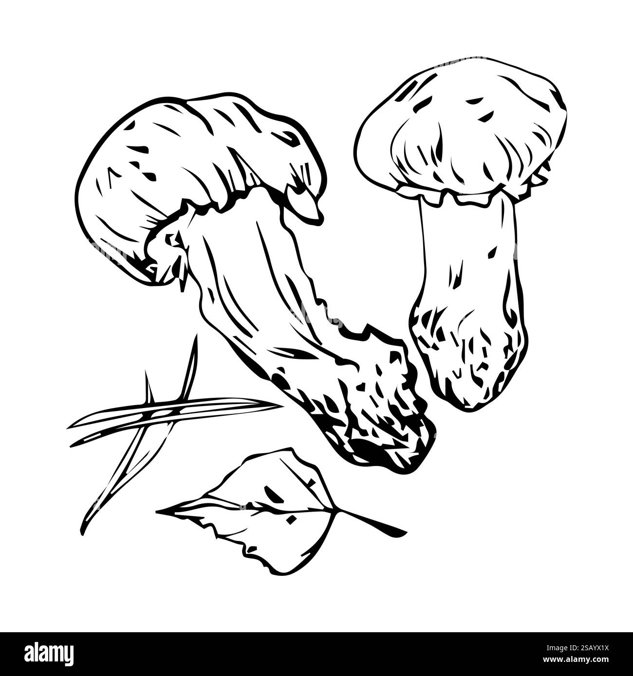 Composition vectorielle des champignons d'automne, des feuilles et des aiguilles de pin, dessinées à la main avec une doublure. Adapté à votre conception Illustration de Vecteur