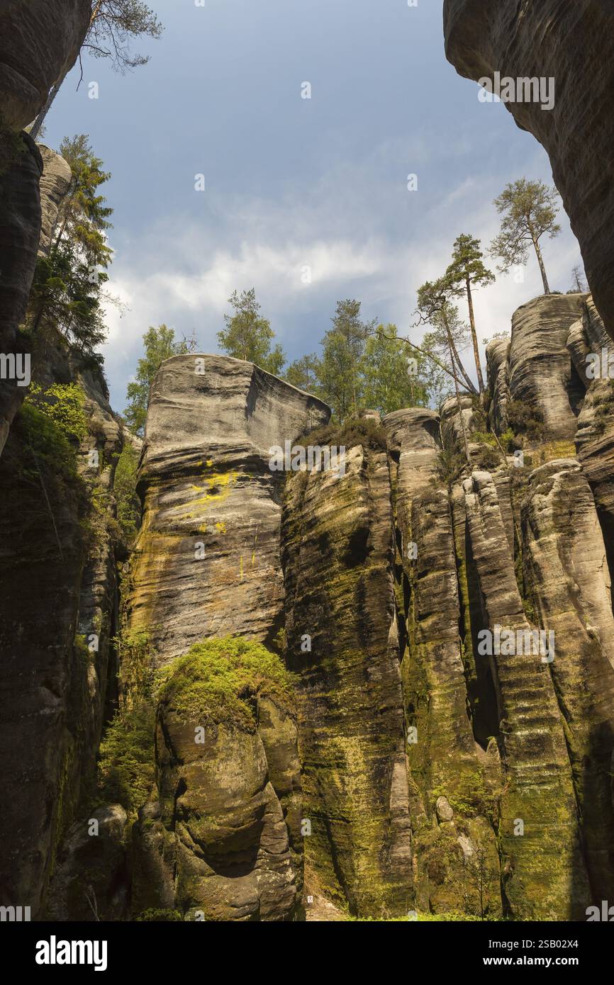 AdrTpach-Teplice Rocks un jour ensoleillé, Dolni AdrTpach, 549 57 Adersbach, CZ Banque D'Images