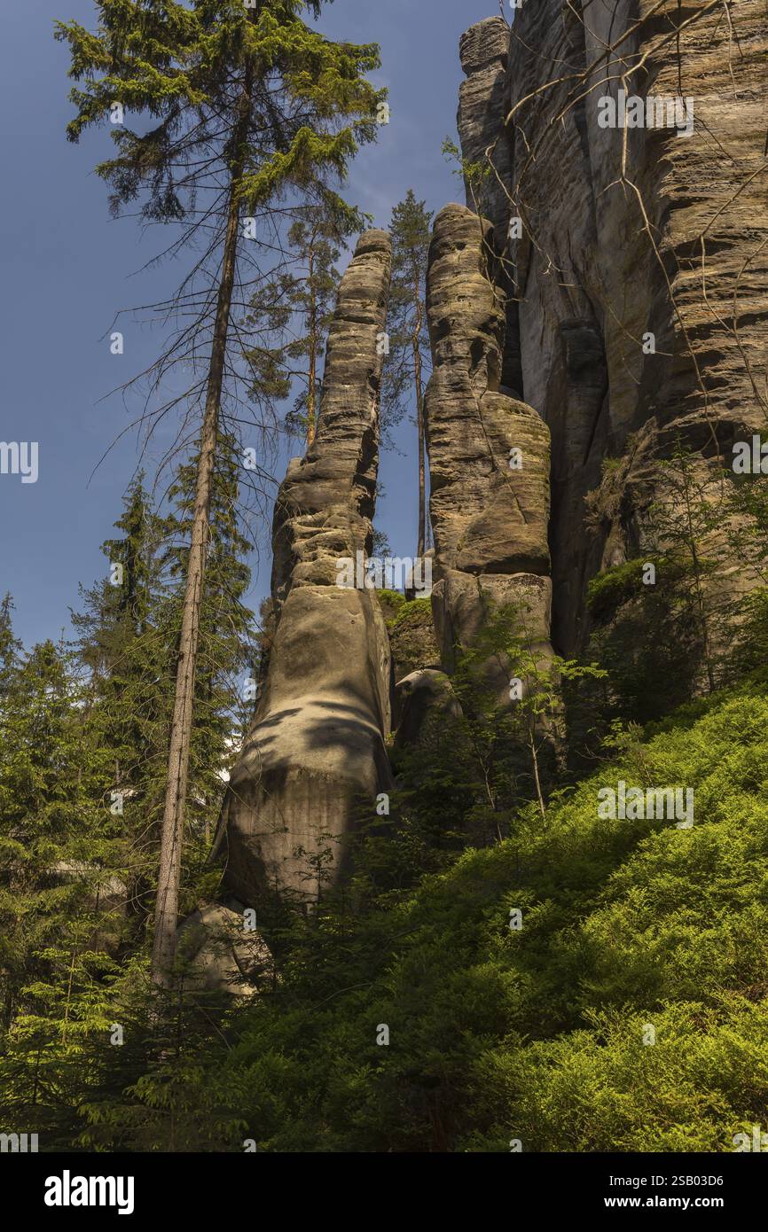 AdrTpach-Teplice Rocks un jour ensoleillé, Dolni AdrTpach, 549 57 Adersbach, CZ Banque D'Images