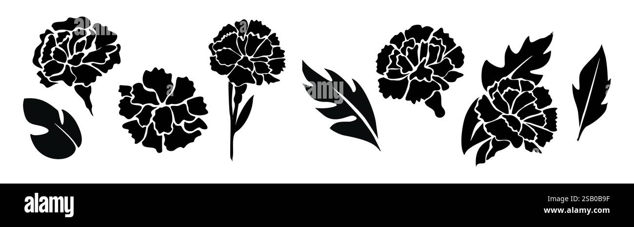 Ensemble de fleurs d'œillet, laisse des silhouettes noires Illustration de Vecteur