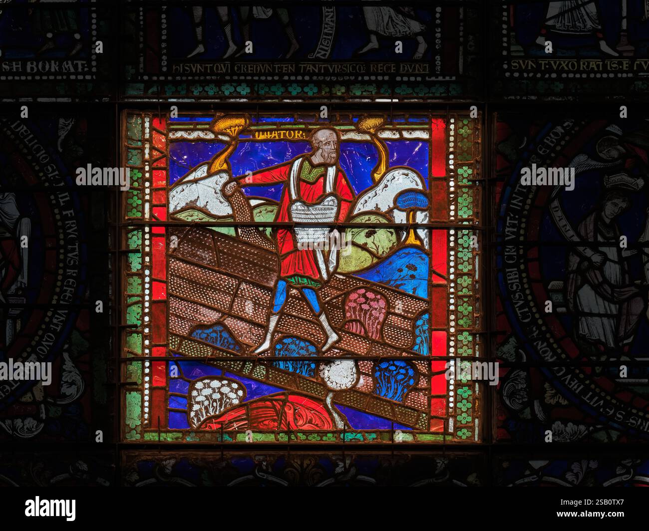 Vitrail médiéval, de l'histoire d'un semeur de Jésus Christ, dans la cathédrale chrétienne de Canterbury, Angleterre. Banque D'Images