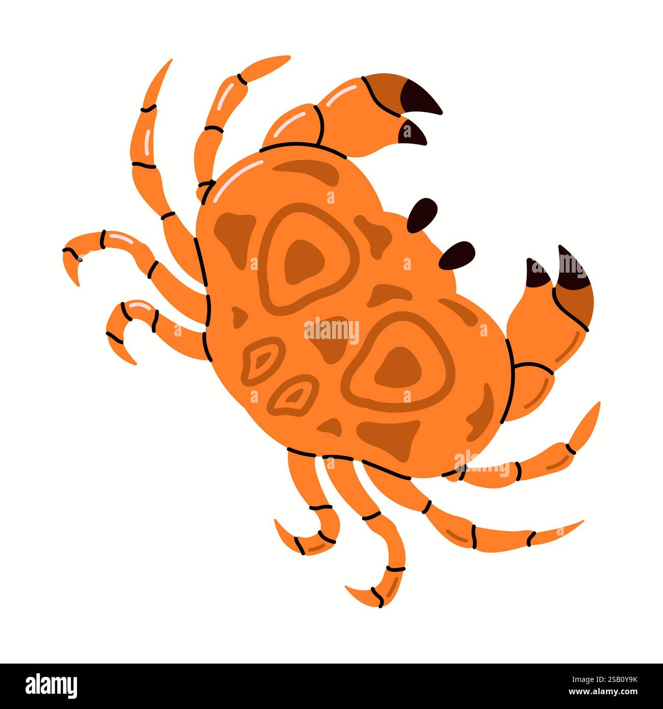 Le crabe orange montre de grandes griffes et pattes de caractère vectoriel de couleur plate. Élément pour l'illustration d'affiches et de flyers sur le thème culinaire sur fond blanc Illustration de Vecteur