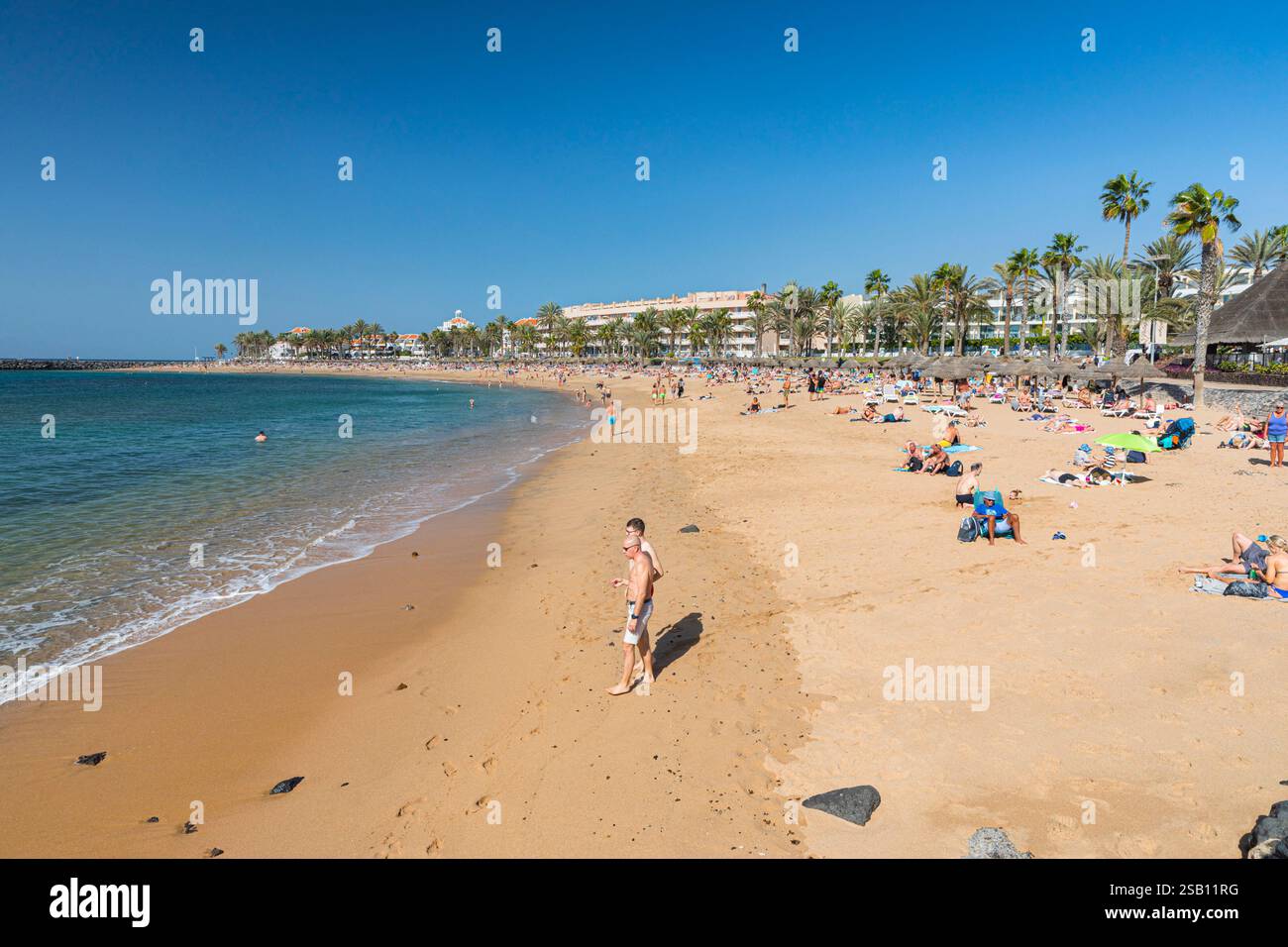 Playa de las Américas, Tenerife, Espagne Banque D'Images