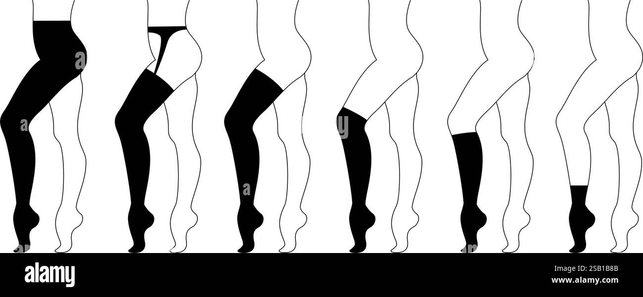 Ensemble de divers bas de femme. Différents types de chaussettes, collants et bas pour femmes. Illustration vectorielle de contour Illustration de Vecteur