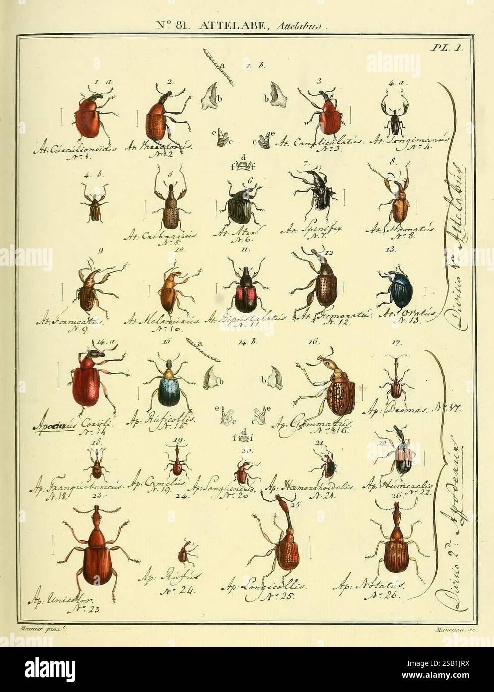 entomologie-ou-histoire-naturelle-des-insectes-a-paris-de-l-imprimerie
