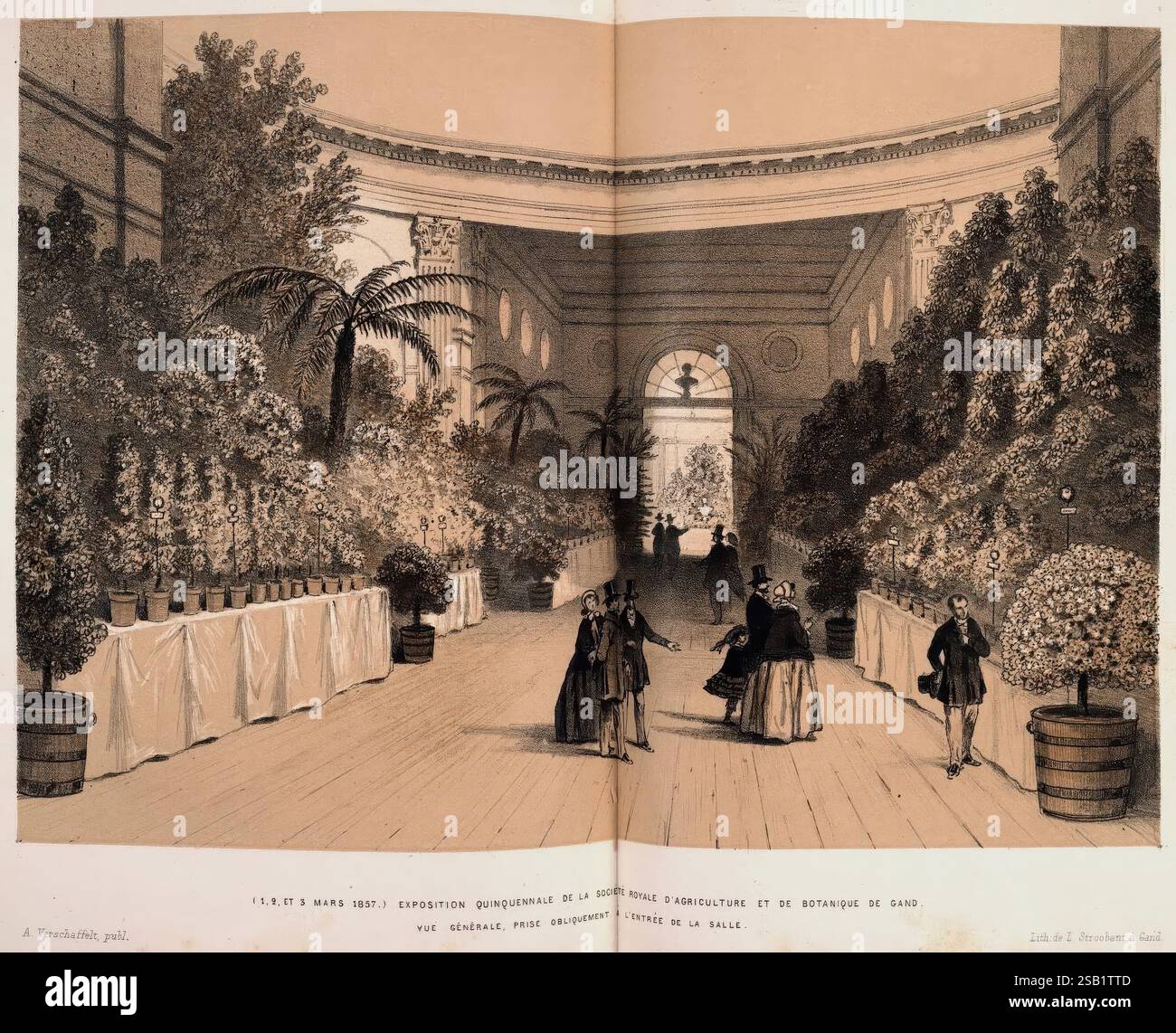 L'illustration horticole, Gand, Belgique, imprimerie et lithographie de F. et E. Gyselnyck, 1854-1896, floriculture, jardinage, serres, horticulture, périodiques, la scène capture une salle d'exposition magnifiquement agencée remplie d'expositions florales vibrantes. Une végétation luxuriante et une variété de plantes en pot bordent l'espace, mettant en valeur la beauté de l'art floral et de l'horticulture. Au premier plan, les individus élégamment habillés engagent la conversation tout en admirant les arrangements complexes. L'architecture présente de grandes arches et de grandes fenêtres qui invitent à la lumière naturelle, améliorant l'ambiance Banque D'Images