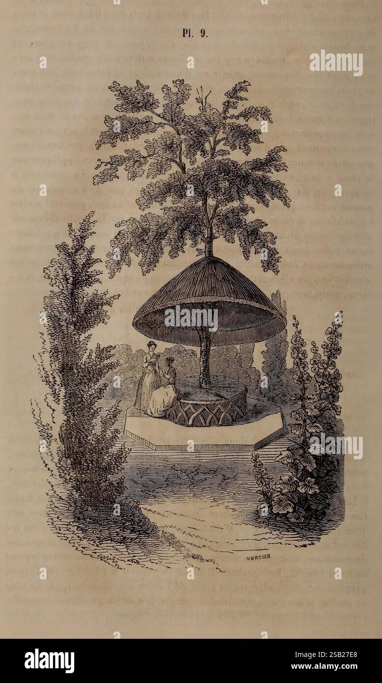 La Belgique horticole, Liége, botanique, horticulture, périodiques, Garden, Un jardin serein dispose d'un belvédère traditionnel au toit de chaume entouré d'un feuillage luxuriant. Sous le belvédère, deux personnages s'engagent dans la conversation, dégageant un sentiment de tranquillité et d'intimité. Les plantes environnantes, y compris les grands arbustes et les arbres feuillus, encadrent la scène, renforçant le sentiment d'une retraite isolée. Ce cadre idyllique invite à un moment de réflexion ou de détente, capturant un aperçu des loisirs dans un environnement naturel. Banque D'Images