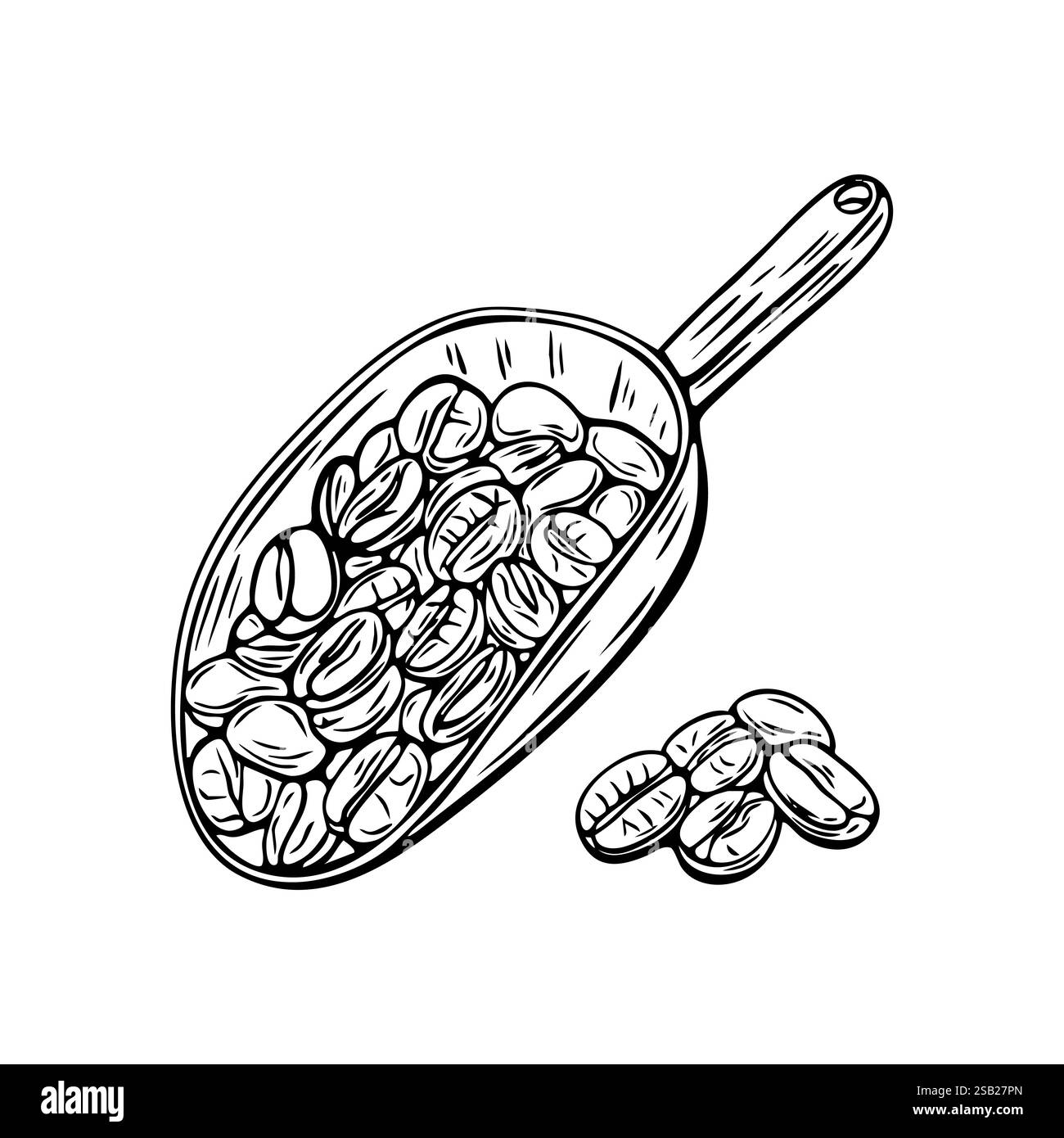 Gravure, spatule avec des grains de café, illustration vectorielle en couleur et croquis de ligne Illustration de Vecteur