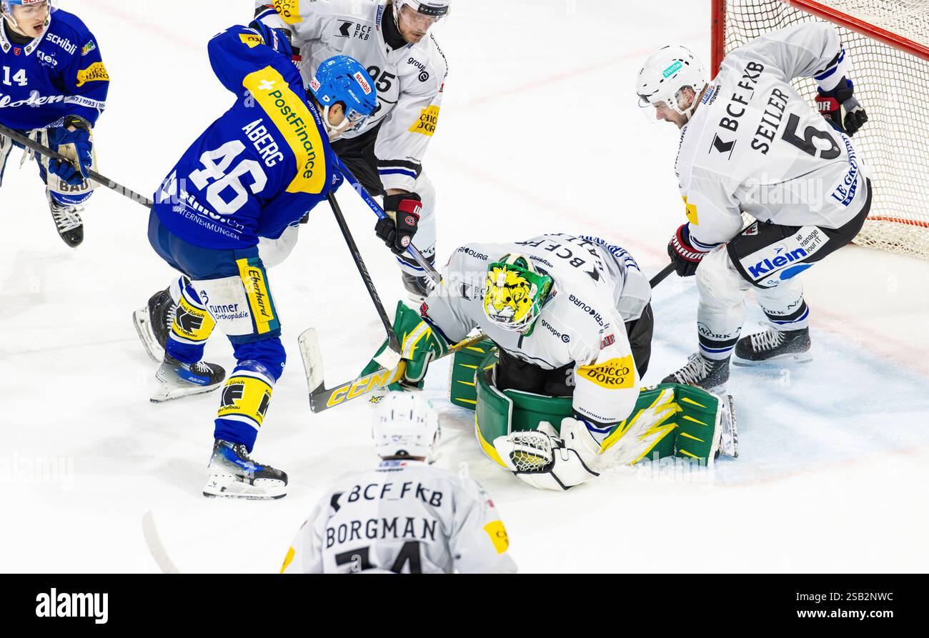 Kloten, Suisse, 31 janvier 2025 : le gardien #1 Loic Galley (Fribourg) tient une rondelle. Aucun moyen de passer pour #46 POTUS Aberg (Kloten). #95 Jacob de la Rosa et #5 Simon Seiler (tous deux Friborg) soutiennent le gardien de but. (Photo de Andreas Haas/dieBildmanufaktur) crédit : dieBildmanufaktur/Alamy Live News Banque D'Images