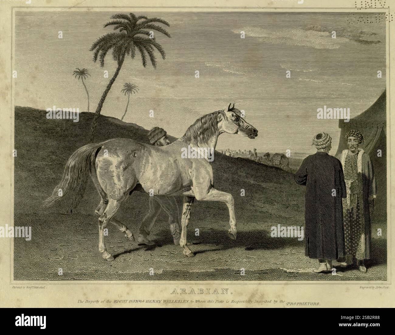 The Sportsman's repository London, Henry G. Bohn, 1845, Dogs, Horses, œuvres picturales, images, illustrations, John Scott, Equus caballus, Arabian, Un majestueux cheval arabe se promène en toute confiance dans un paysage, sa forme élégante mise en valeur sur fond de palmiers et de collines ondulantes. Deux personnages, vêtus d'une tenue traditionnelle du moyen-Orient, s'engagent dans la conversation, discutant vraisemblablement des qualités impressionnantes du cheval. La scène capture l'essence de la culture arabe, mettant en valeur à la fois la beauté du cheval et la richesse des vêtements portés par les individus. Le réglage évoque une s Banque D'Images