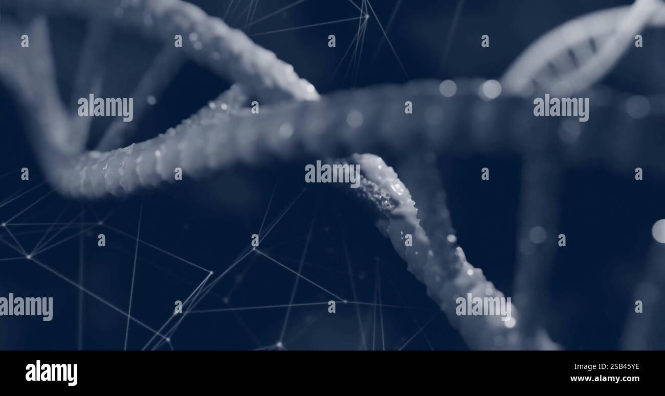 Image d'un brin d'adn au-dessus d'un Newtork de connexions sur fond noir Banque D'Images