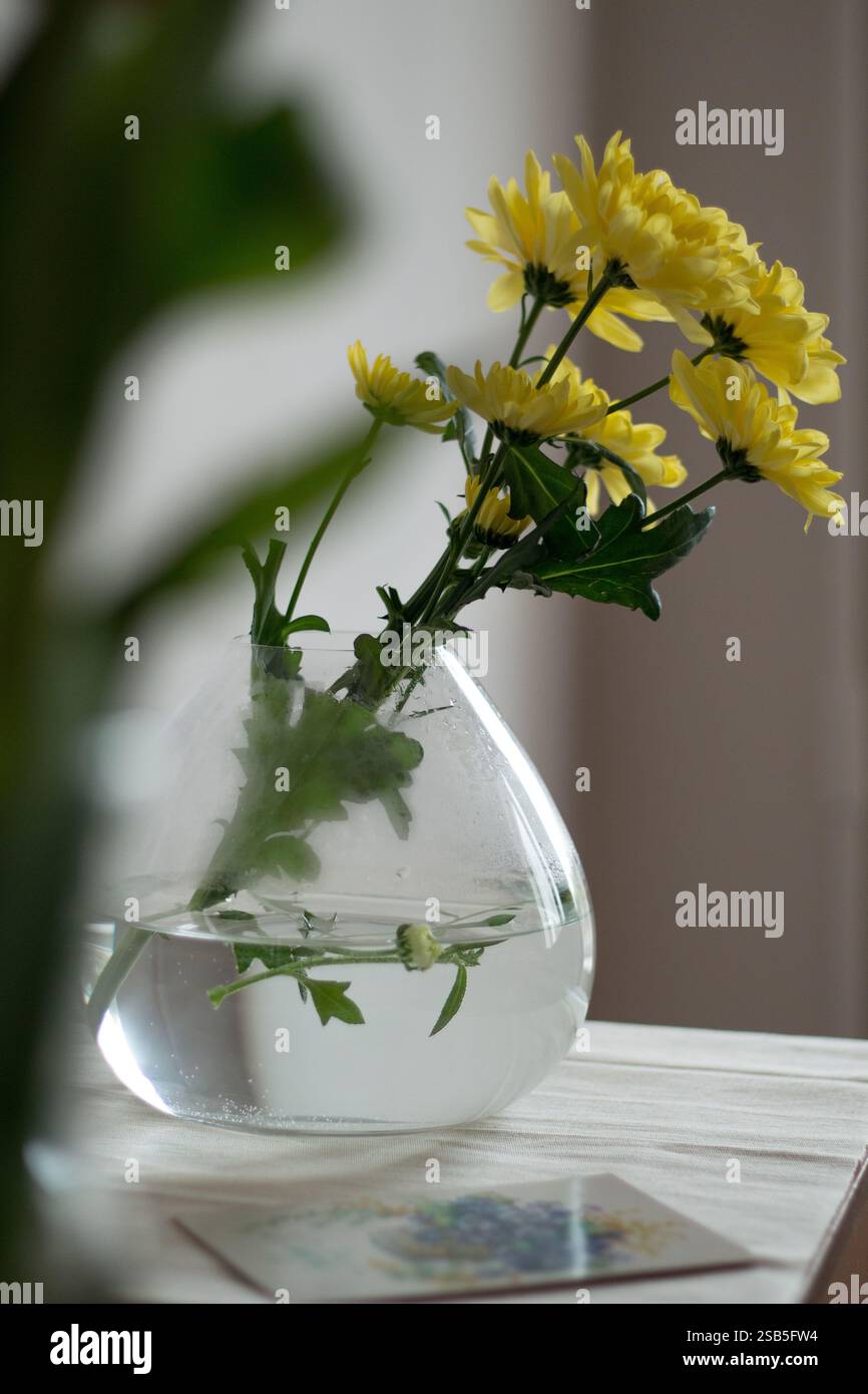 composition de chrysantheumums jaune vif Banque D'Images