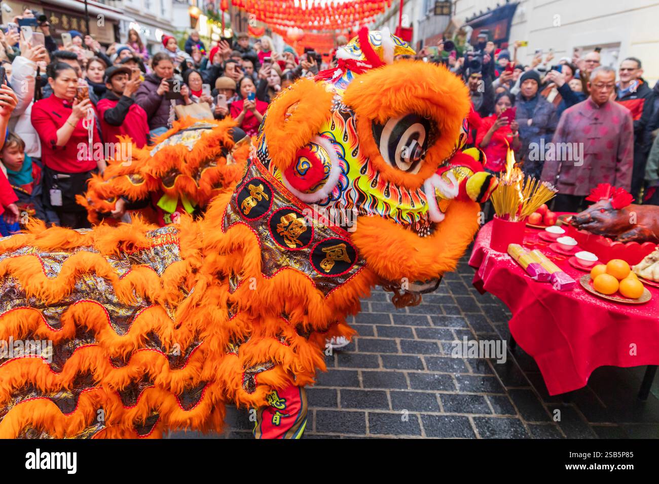 Londres, Royaume-Uni. 1er février 2025. Des artistes dansent des costumes de lion colorés dans les rues de China Town à Londres, qui imitent les mouvements d'un lion dans le cadre des célébrations du nouvel an chinois 2025 (année du serpent). Les interprètes entreront dans les magasins et les entreprises de China Town à Londres, car ce spectacle traditionnel apportera de la chance et chassera les mauvais esprits. Le zodiaque chinois est un cycle répétitif de 12 ans de signes animaux basé sur le calendrier lunaire. Le nouvel an lunaire marque le passage d'un animal à un autre. Crédit : Stuart Robertson/Alamy Live News. Banque D'Images