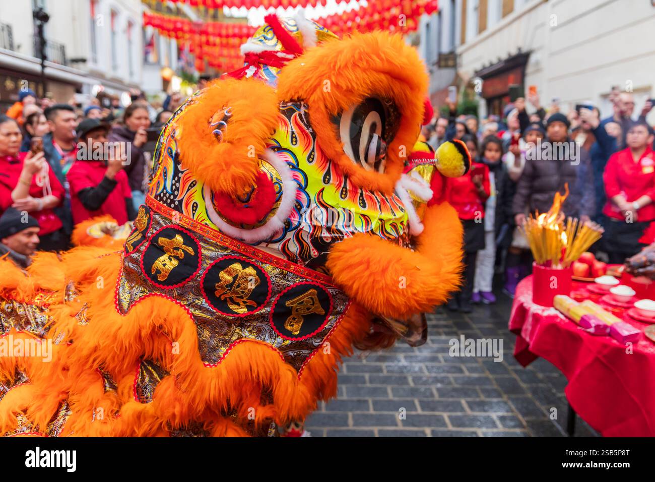 Londres, Royaume-Uni. 1er février 2025. Des artistes dansent des costumes de lion colorés dans les rues de China Town à Londres, qui imitent les mouvements d'un lion dans le cadre des célébrations du nouvel an chinois 2025 (année du serpent). Les interprètes entreront dans les magasins et les entreprises de China Town à Londres, car ce spectacle traditionnel apportera de la chance et chassera les mauvais esprits. Le zodiaque chinois est un cycle répétitif de 12 ans de signes animaux basé sur le calendrier lunaire. Le nouvel an lunaire marque le passage d'un animal à un autre. Crédit : Stuart Robertson/Alamy Live News. Banque D'Images