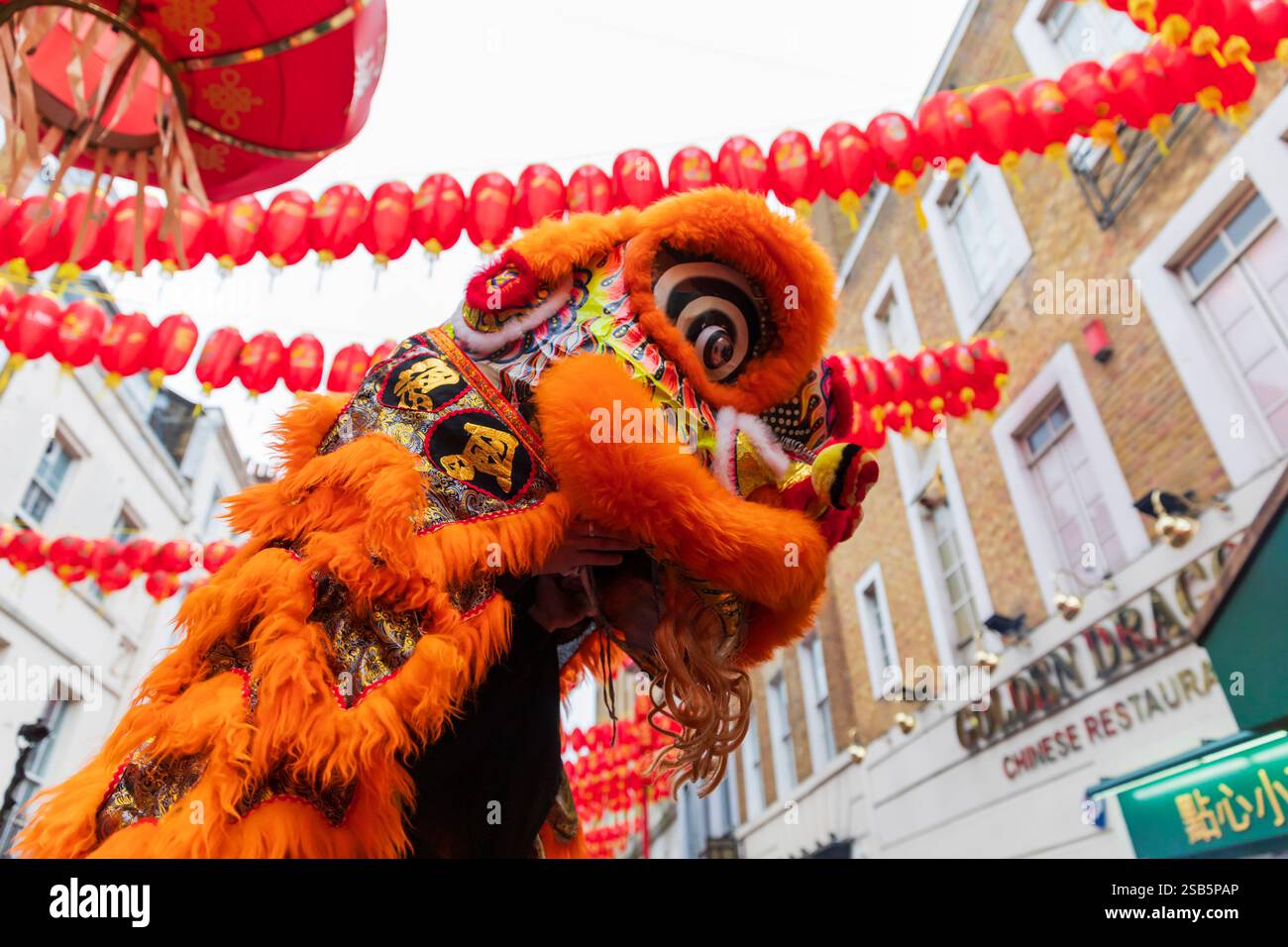 Londres, Royaume-Uni. 1er février 2025. Des artistes dansent des costumes de lion colorés dans les rues de China Town à Londres, qui imitent les mouvements d'un lion dans le cadre des célébrations du nouvel an chinois 2025 (année du serpent). Les interprètes entreront dans les magasins et les entreprises de China Town à Londres, car ce spectacle traditionnel apportera de la chance et chassera les mauvais esprits. Le zodiaque chinois est un cycle répétitif de 12 ans de signes animaux basé sur le calendrier lunaire. Le nouvel an lunaire marque le passage d'un animal à un autre. Crédit : Stuart Robertson/Alamy Live News. Banque D'Images