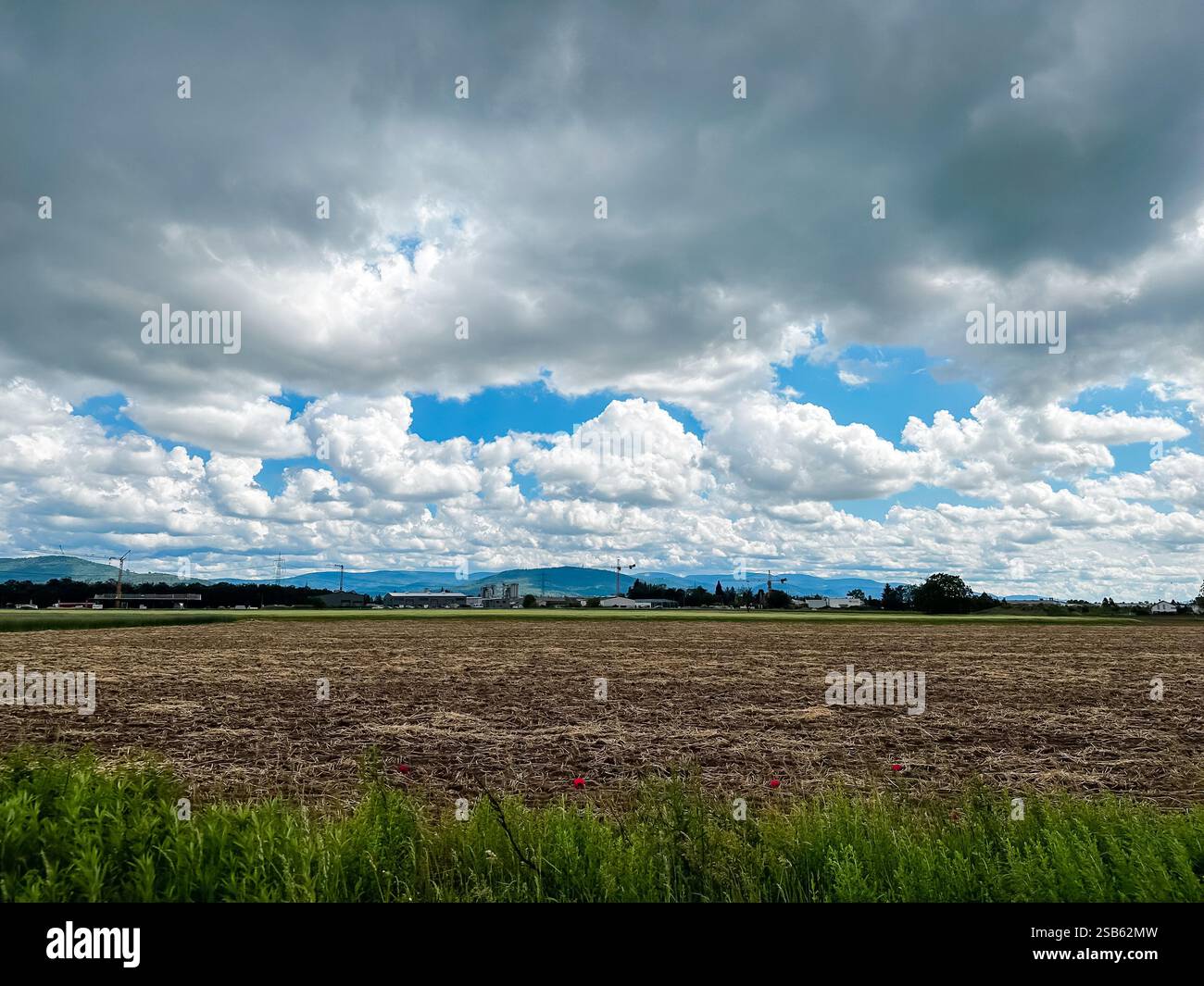 Champ d'herbe avec un ciel nuageux en arrière-plan. Le ciel est principalement nuageux avec quelques taches de bleu Banque D'Images