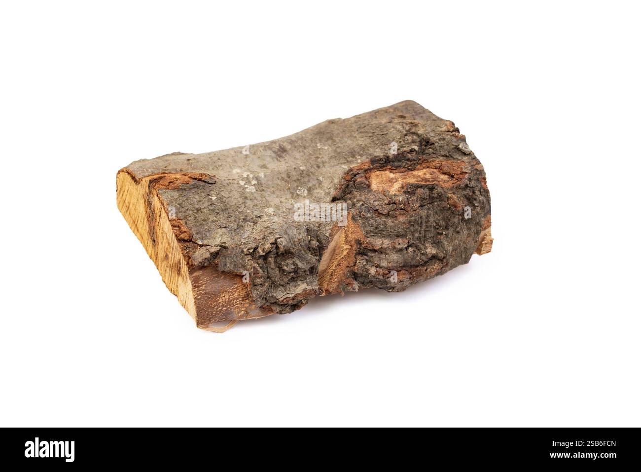 Bûche de bois à feu unique, isolée sur blanc Banque D'Images