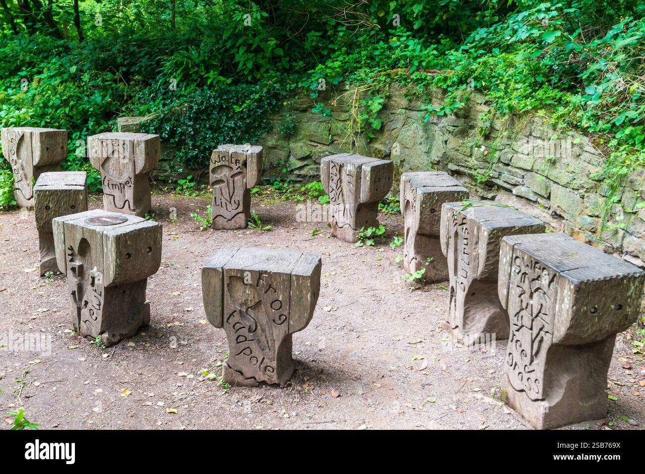 Plusieurs bancs en bois sculptés sont situés dans une zone boisée, probablement un parc ou un jardin. Les bancs sont minutieusement sculptés avec divers motifs naturels, Banque D'Images