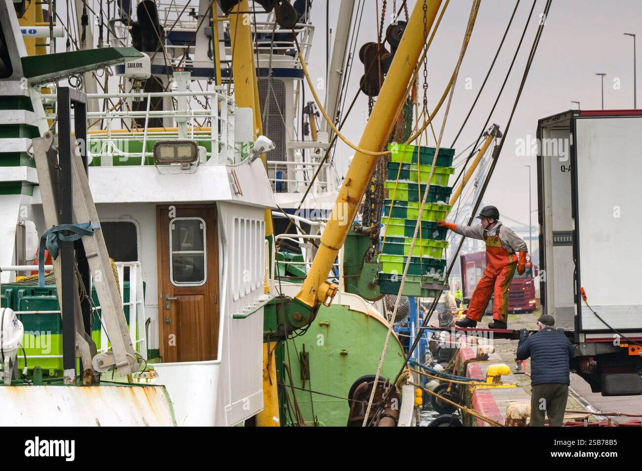 Le Havre, France, Europe - 16 janvier 2025 : docker chargeant un camion avec des caisses de poisson frais provenant d'un chalutier Banque D'Images