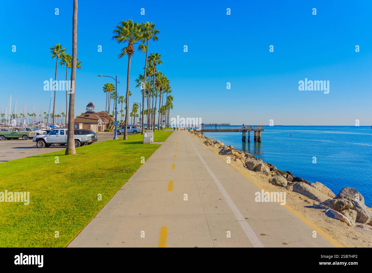 Long Beach, Californie - 15 janvier 2025 : sentier pittoresque à long Beach bordé de palmiers et de vues sur l'océan. Banque D'Images