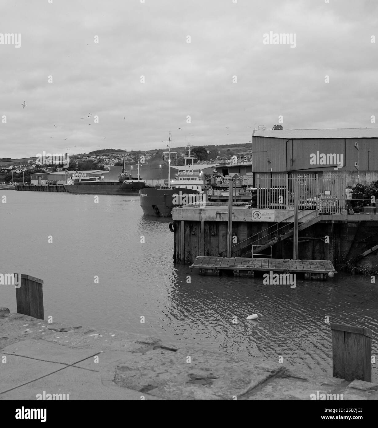 Les quais et le quai de pêche avec des cargos amarrés à Teignmouth Devon Angleterre. Photographie en noir et blanc. Banque D'Images