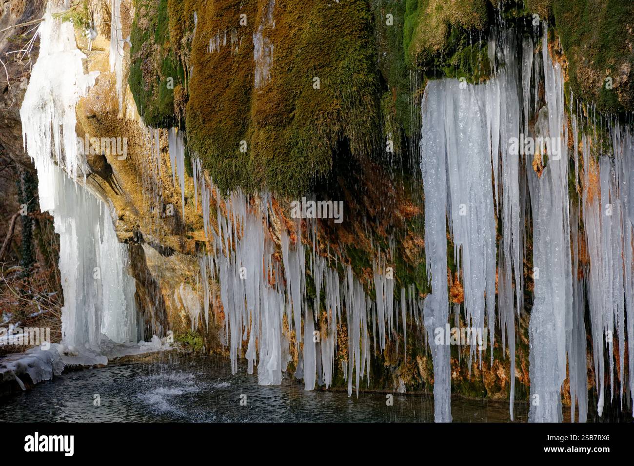 Source de tuf avec des glaçons pendant l'hiver dans la région Mullerthal, Luxembourg. Banque D'Images