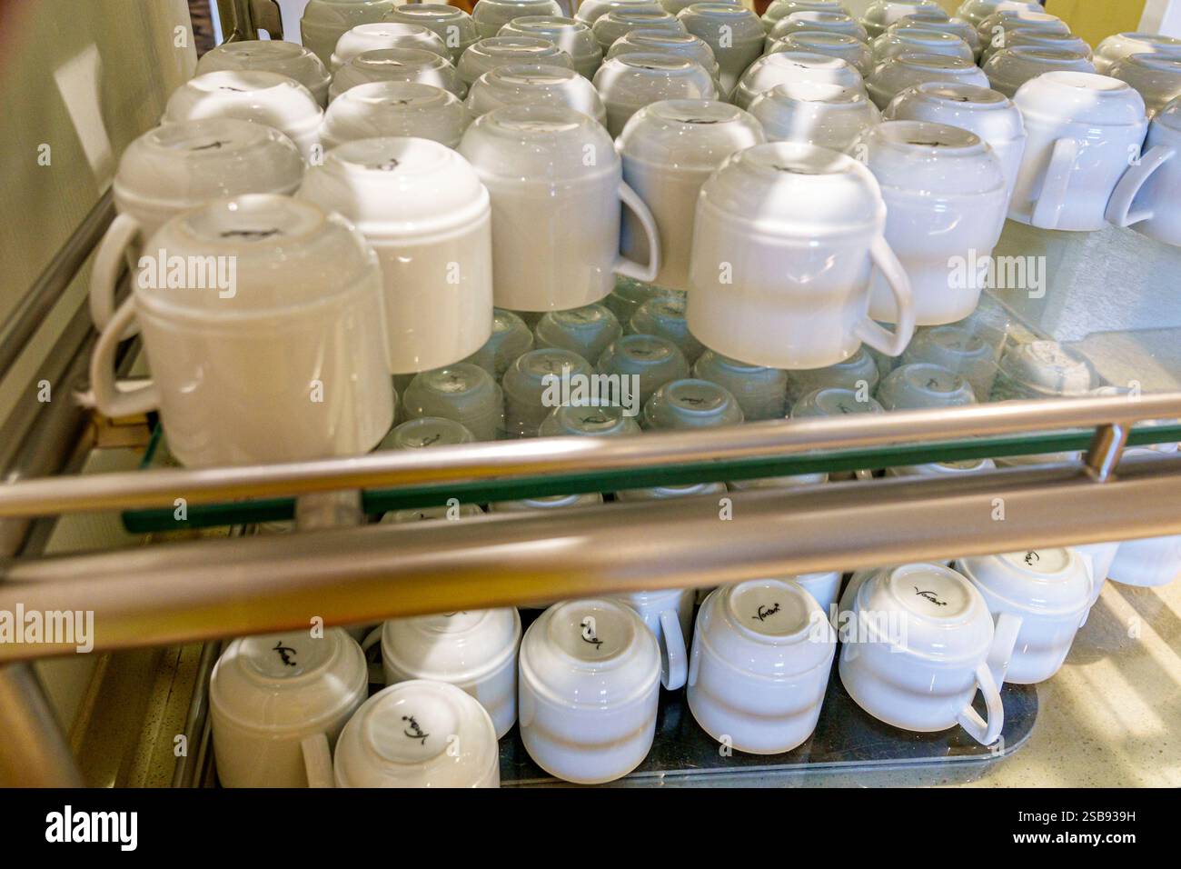 Miami Floride, Norwegian Cruise Line NCL Breakaway Ship, itinéraire de 11 jours de la mer des Caraïbes, Port de Miami, à bord de l'intérieur, le Garden Cafe All You Ca Banque D'Images