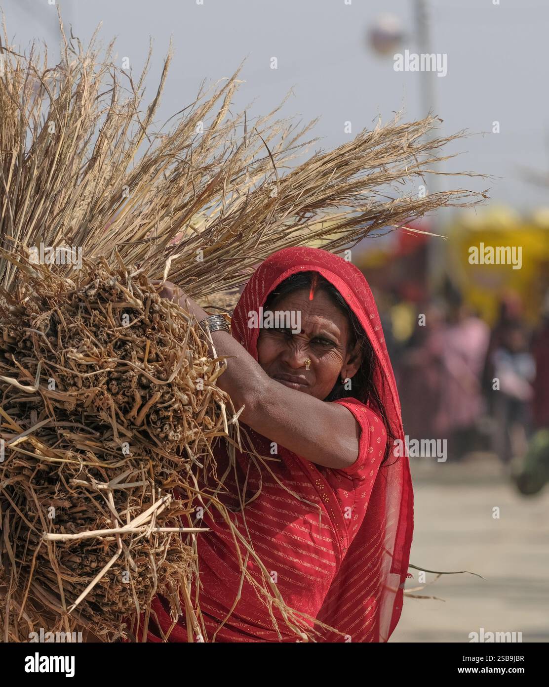 Ouvrier rural vêtu de vêtements rouges vifs transportant du blé récolté pendant la Maha Kumbh Mela à Prayagraj. Le marché animé met en valeur la tradition Banque D'Images